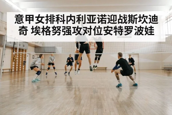 volleyball net block defense